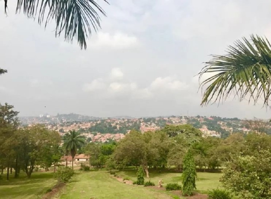 Kampala(图1)