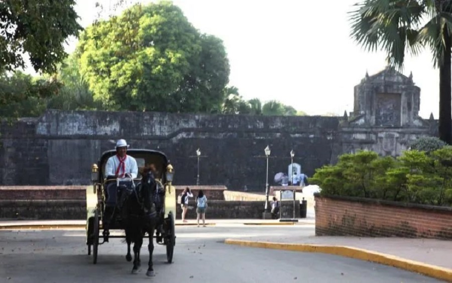 Manila(图11)