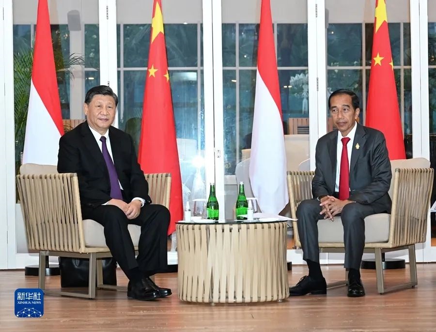  Xi Jinping held talks with Indonesian President Joko(图4)