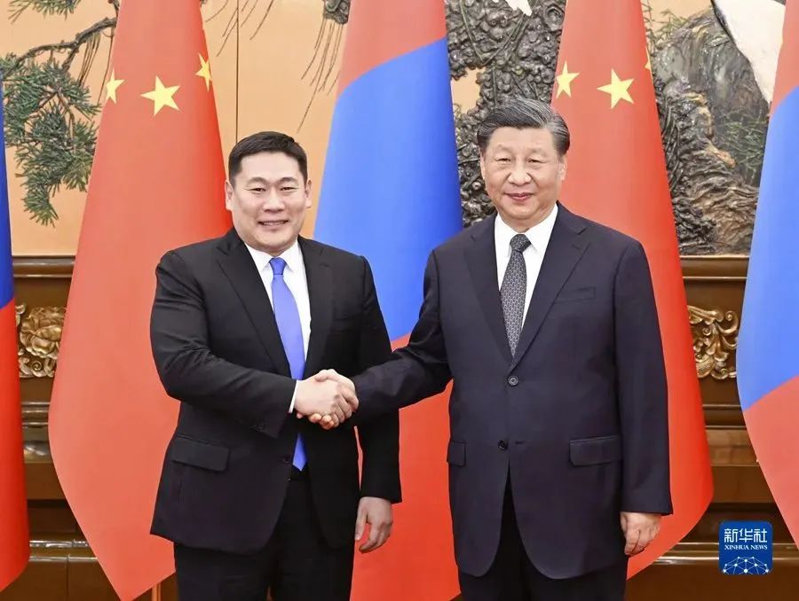 President Xi Jinping met respectively with Prime Minister(图5)