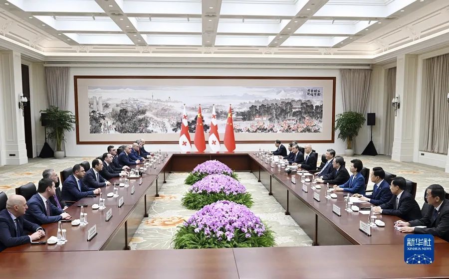 President Xi Jinping met with leaders of five countries(图8)