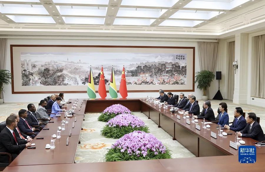 President Xi Jinping met with leaders of five countries(图10)