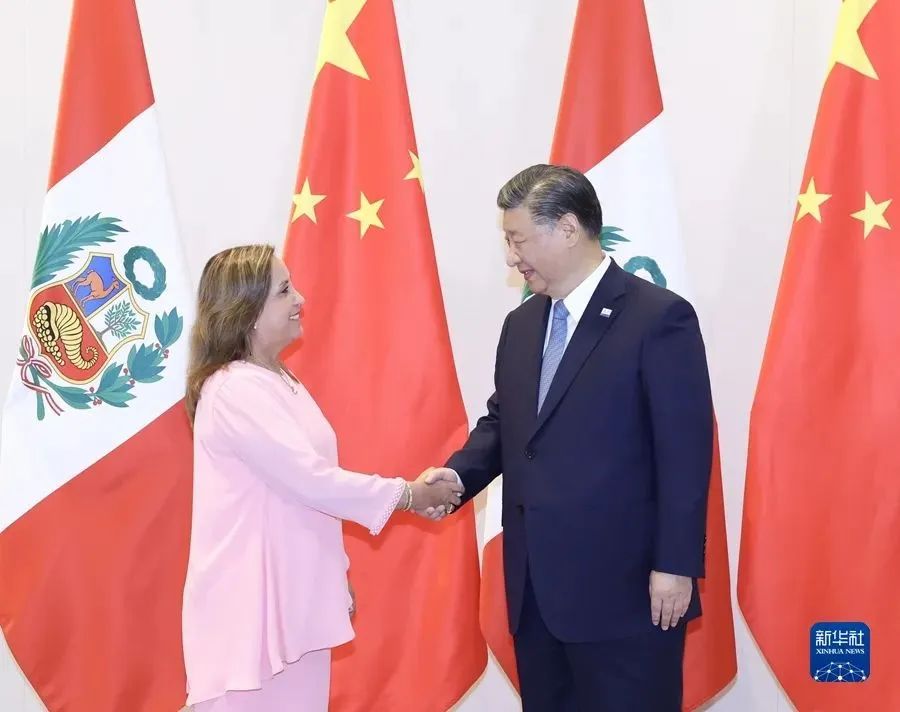 Mexican President Lopez and Peruvian President Boluarte(图3)