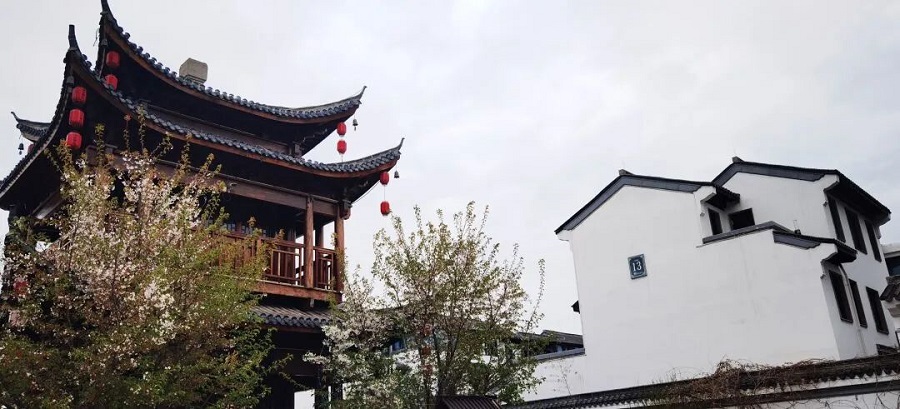 The 29th China Dangshan Pear Blossom Festival(图13)
