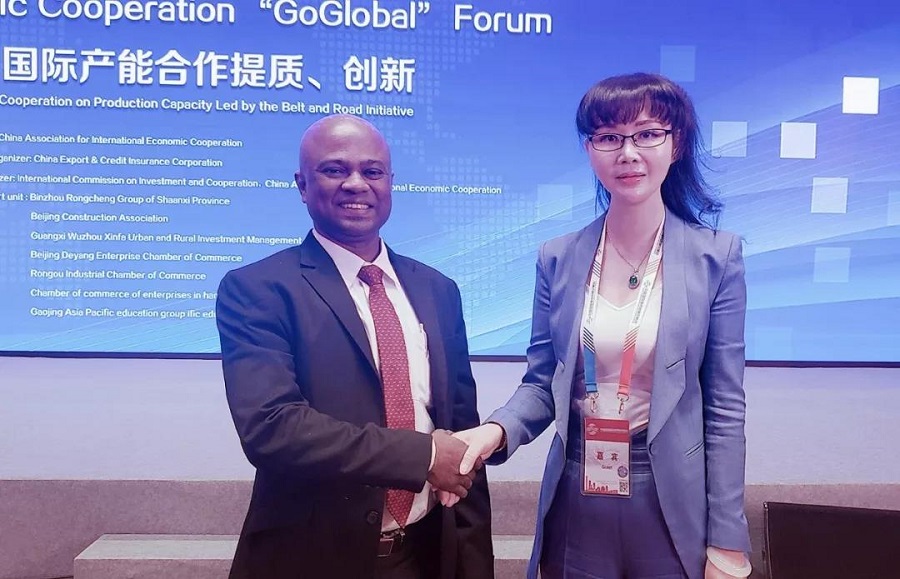 Association participated in ＂Going Global＂ Summit Forum(图14)