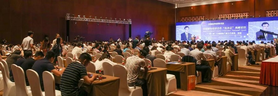 Association participated in ＂Going Global＂ Summit Forum(图20)